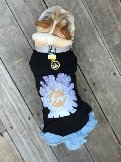 Genuine Leather Collar Slide in Gray Python