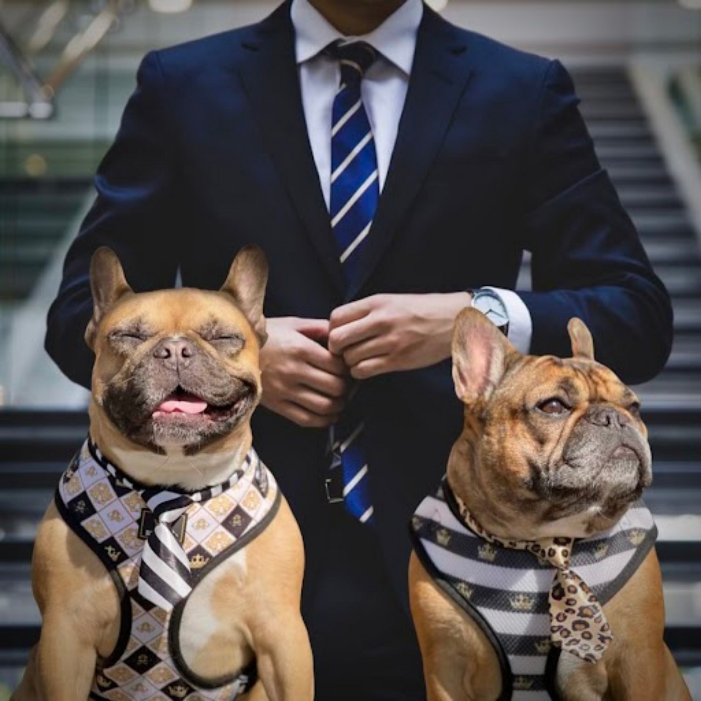 Dress to Impress Tie packs