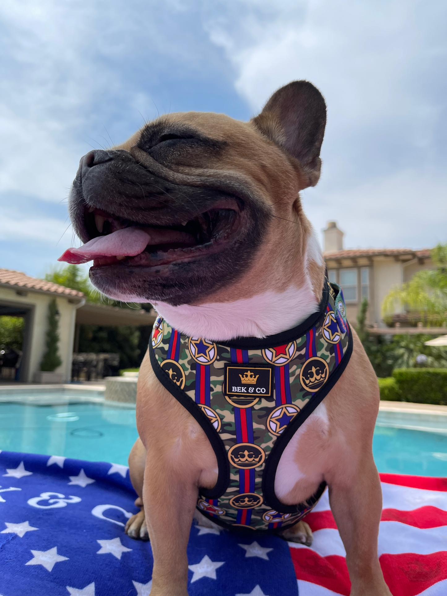 Camo Adjustable Dog Harness