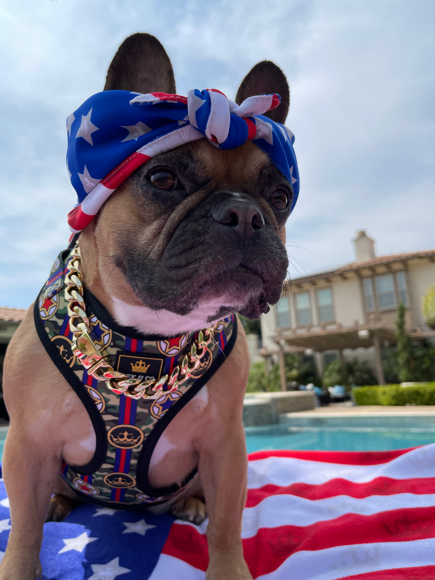 Camo Adjustable Dog Harness