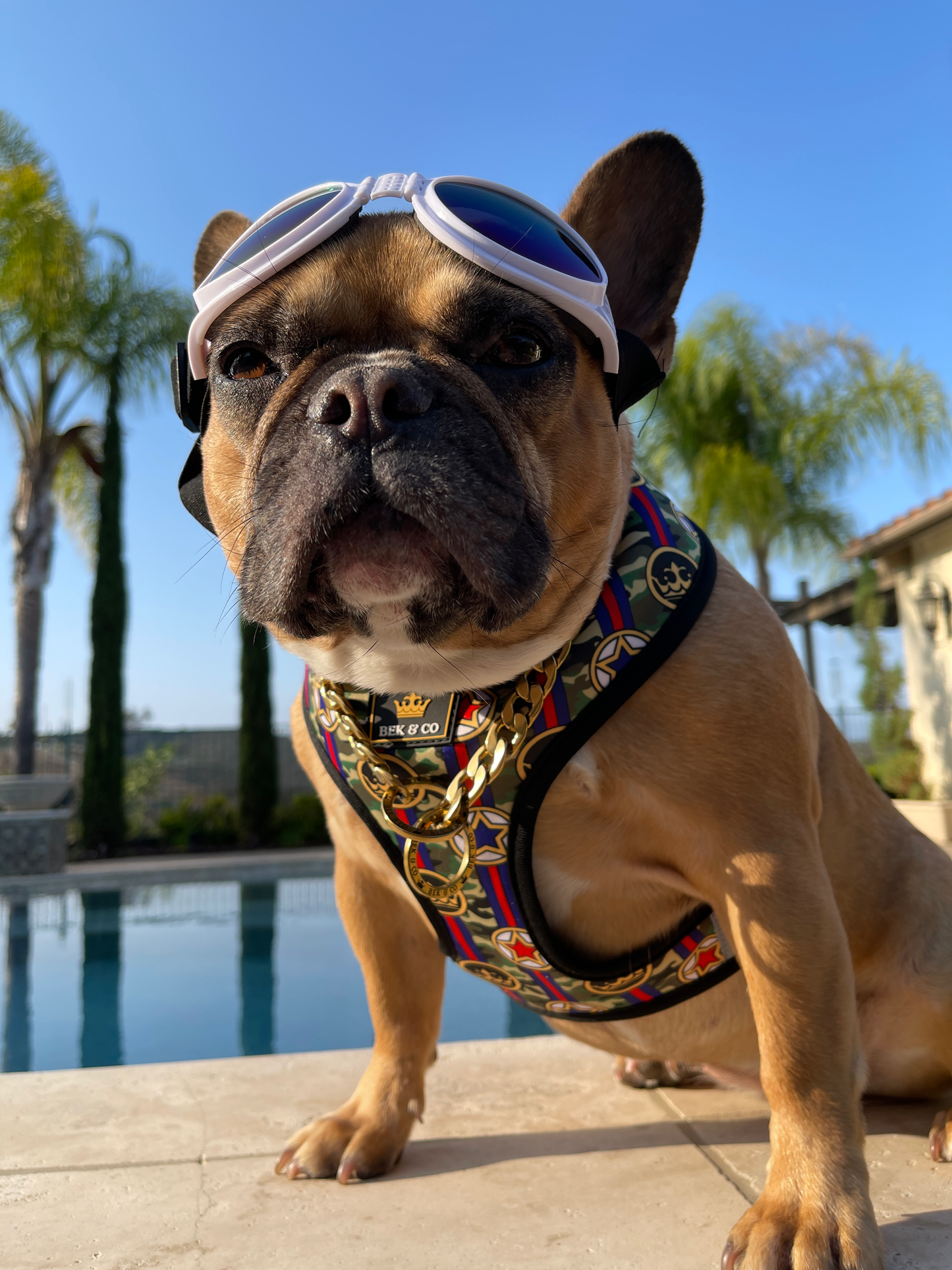 Camo Reversible Dog Harness