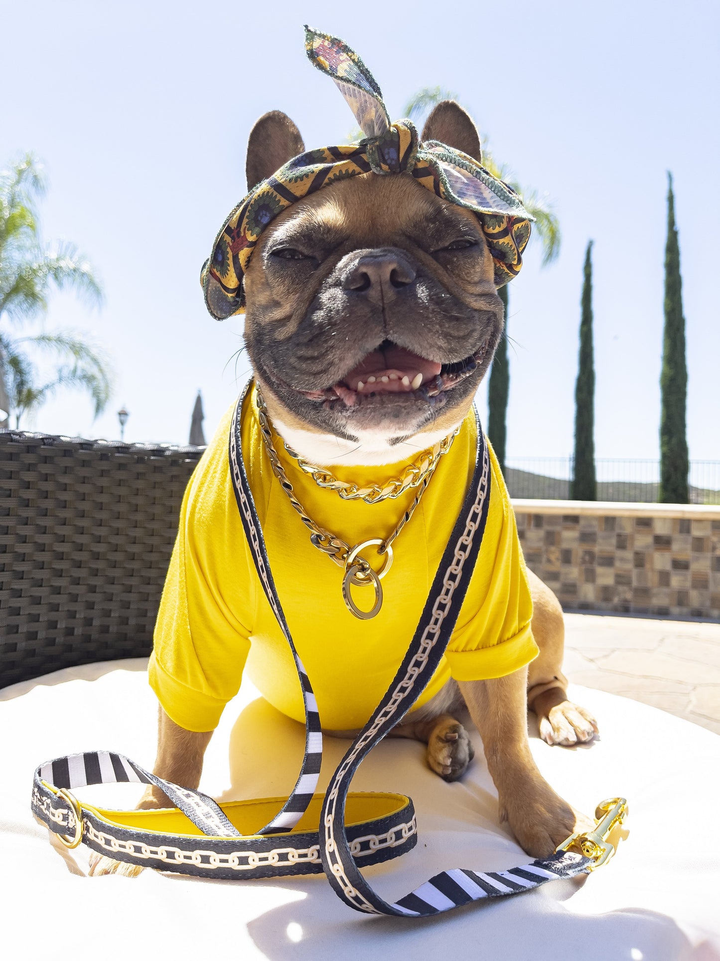 Chicks Dig Me Dog T-Shirt