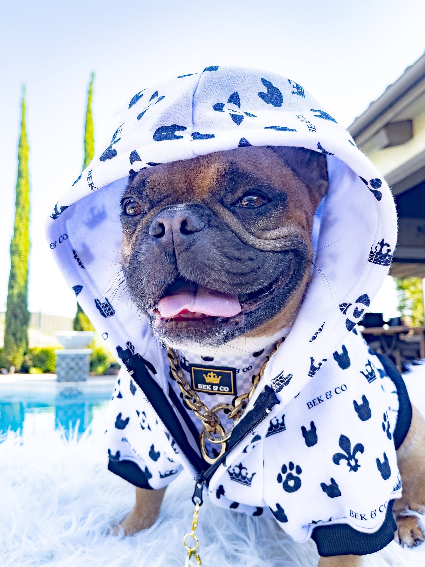 Smiling French Bulldog wearing Bek & Co Monogram Small Dog Hoodie with gold chain and matching small dog harness