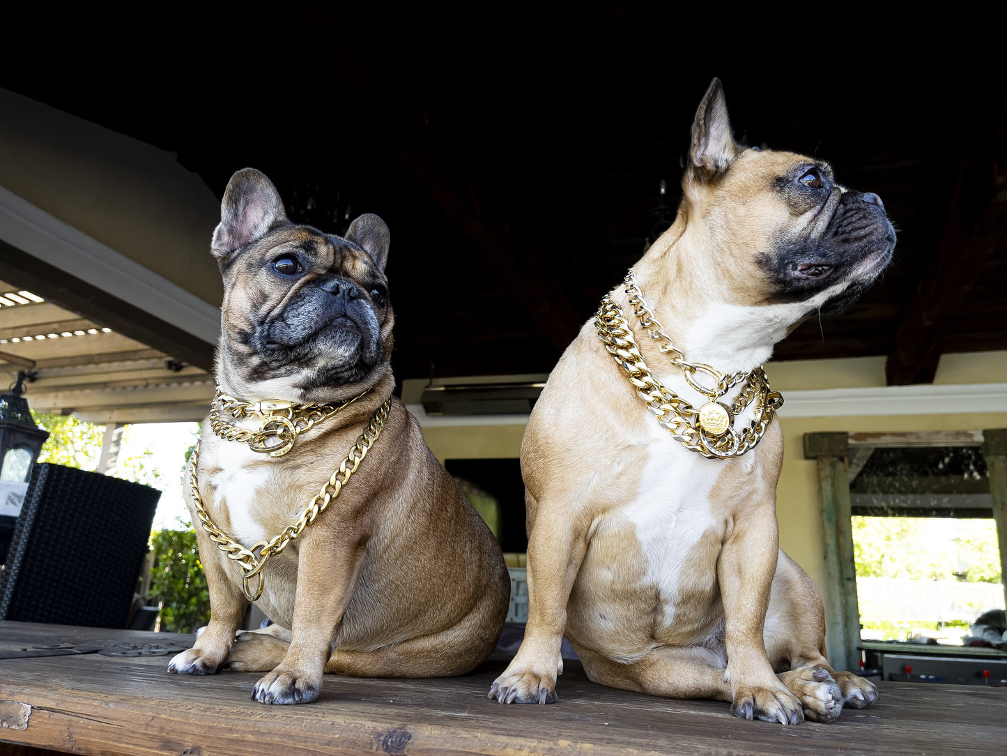 Gold Choke Dog Chain