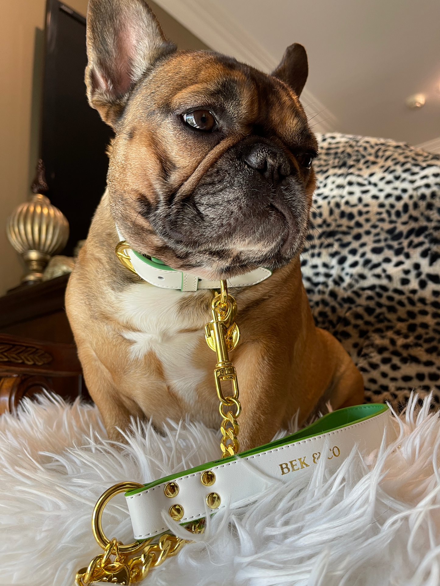 Regal White Dog Collar