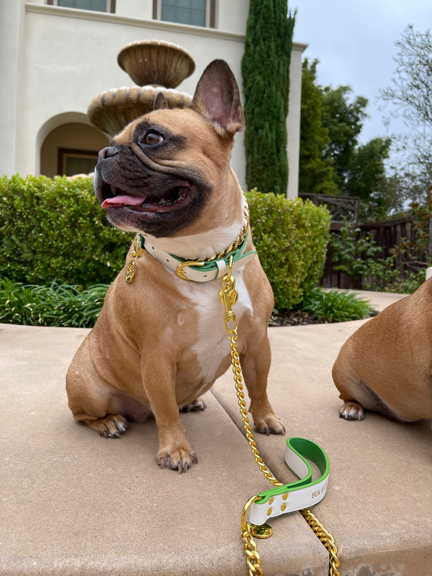 Regal White Chain Dog Leash