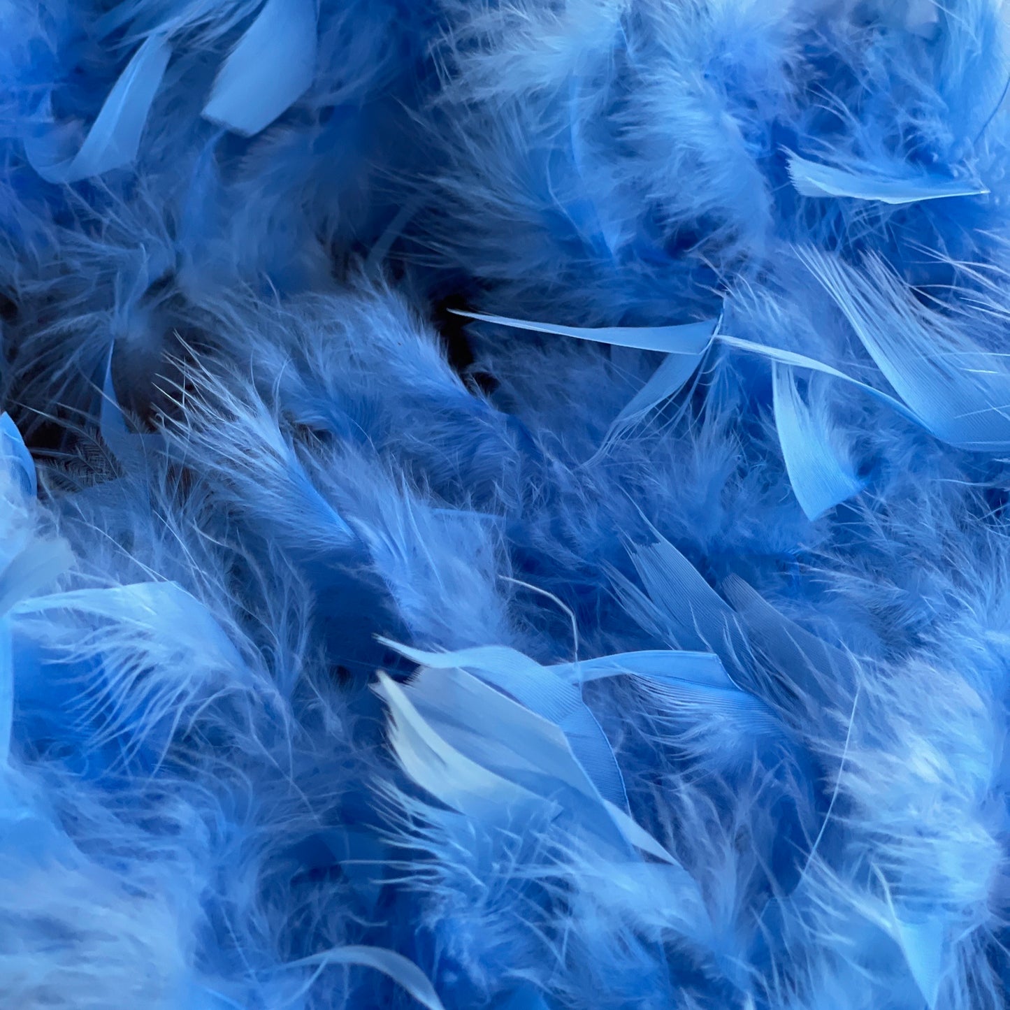 Blue Boa Beary Cute Fun Set