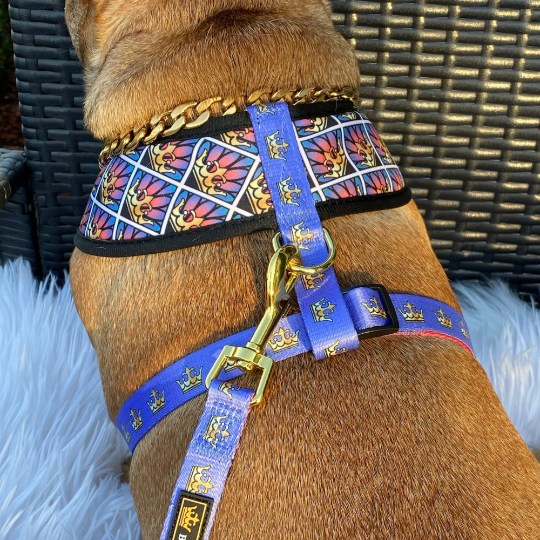 Sunset Reversible Dog Harness on brown Frenchie sitting on white furry blanket