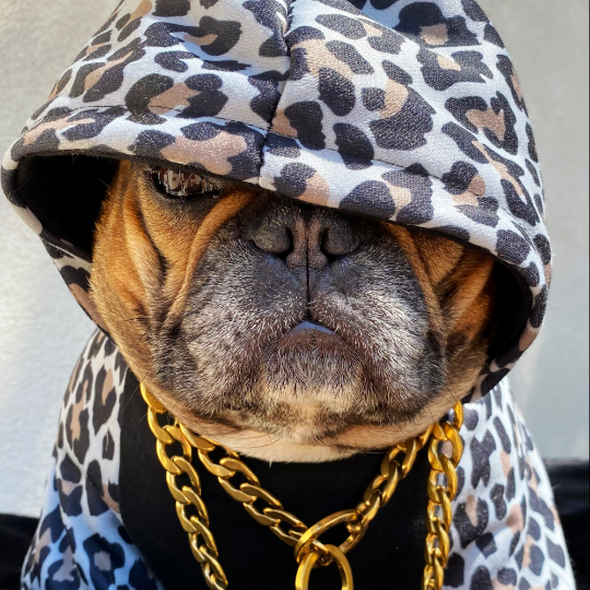 Leopard Hoodie by Bek & Co