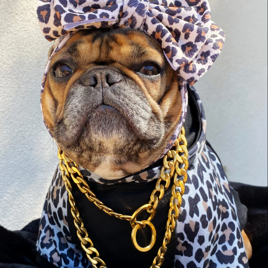 Leopard Hoodie by Bek & Co