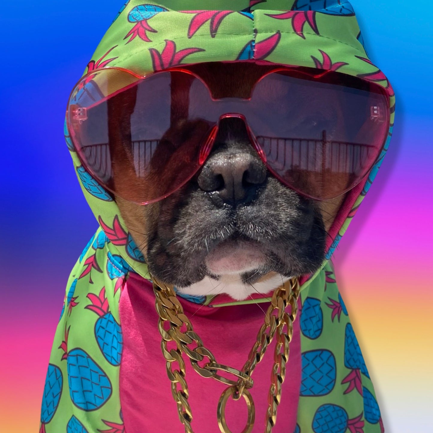 Pineapple Hoodie