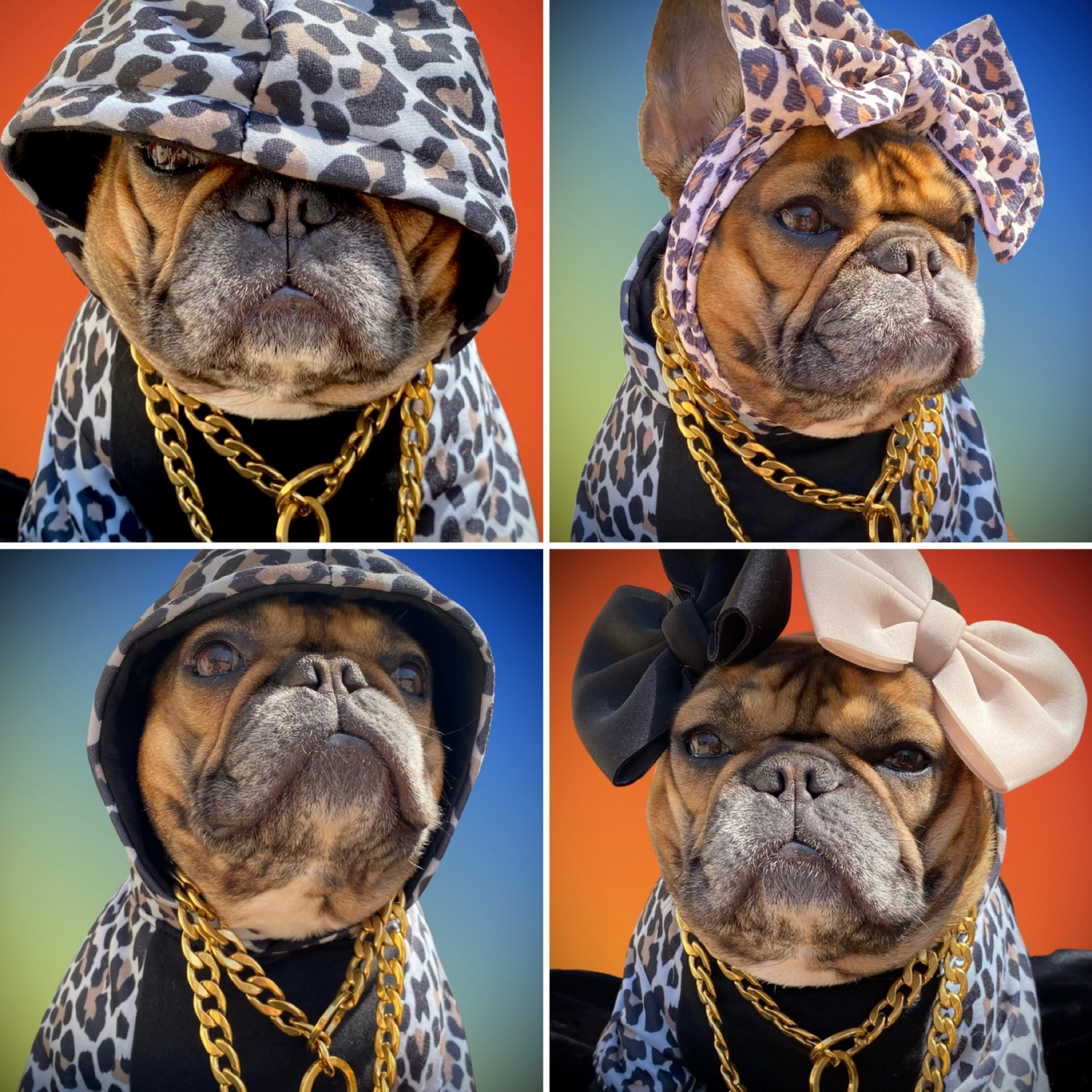 Leopard Hoodie by Bek & Co