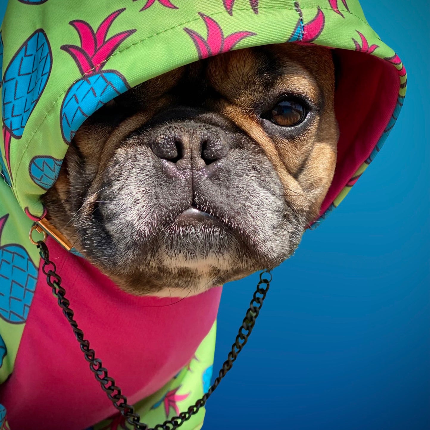 Pineapple Hoodie
