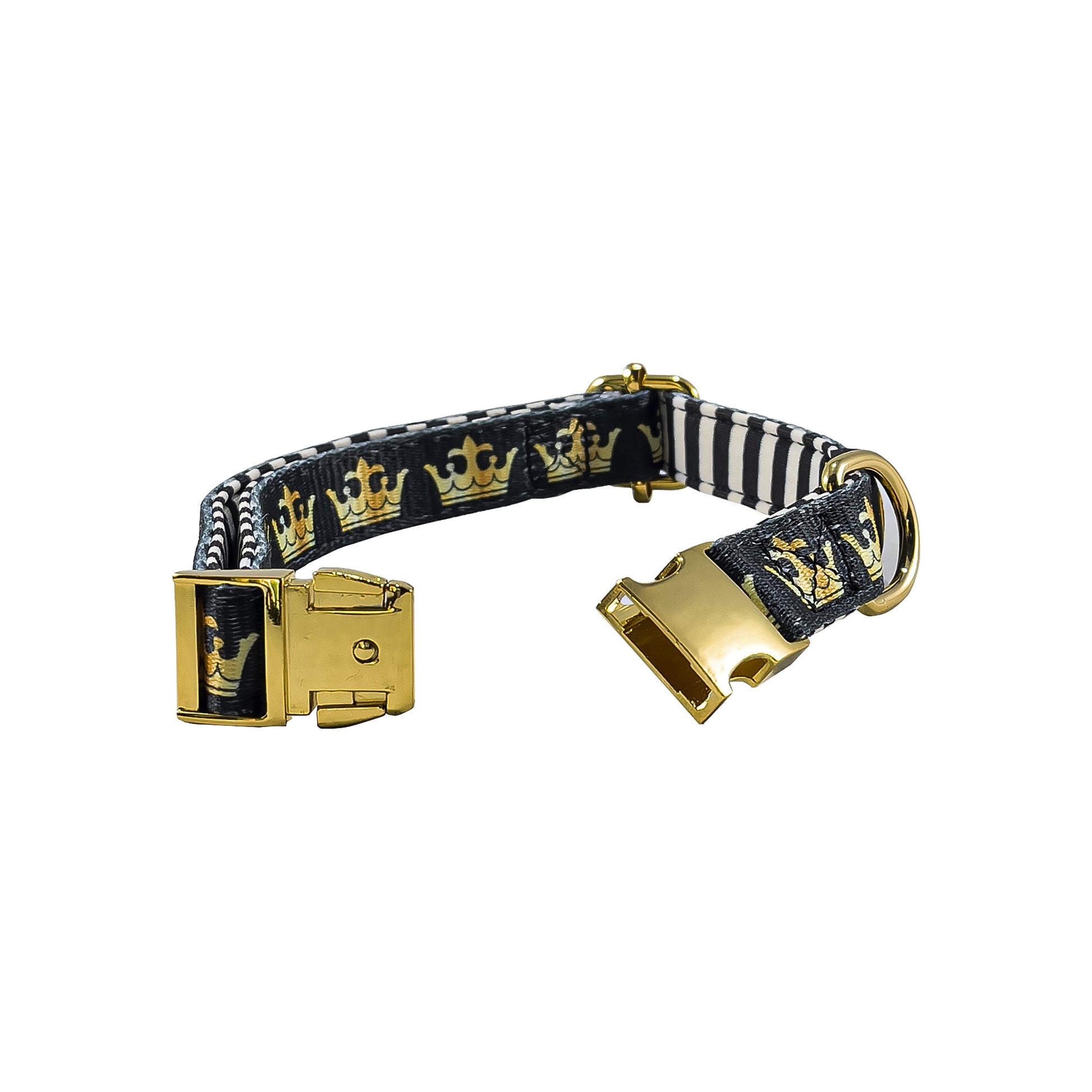 Bek & Co Royal French Bulldog collar with fashionable gold claps on white background