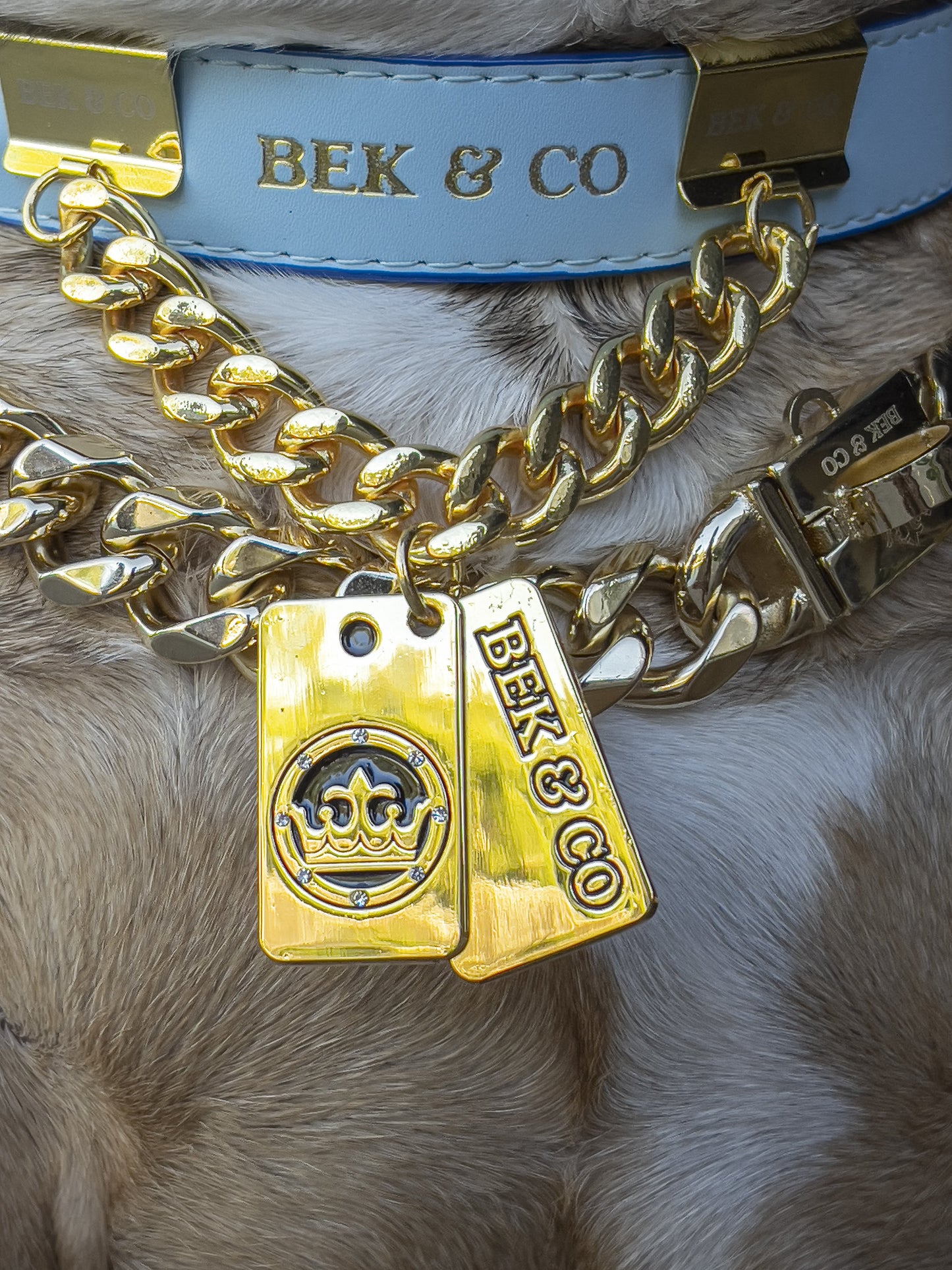 Gold Dog Tag Bling Chain