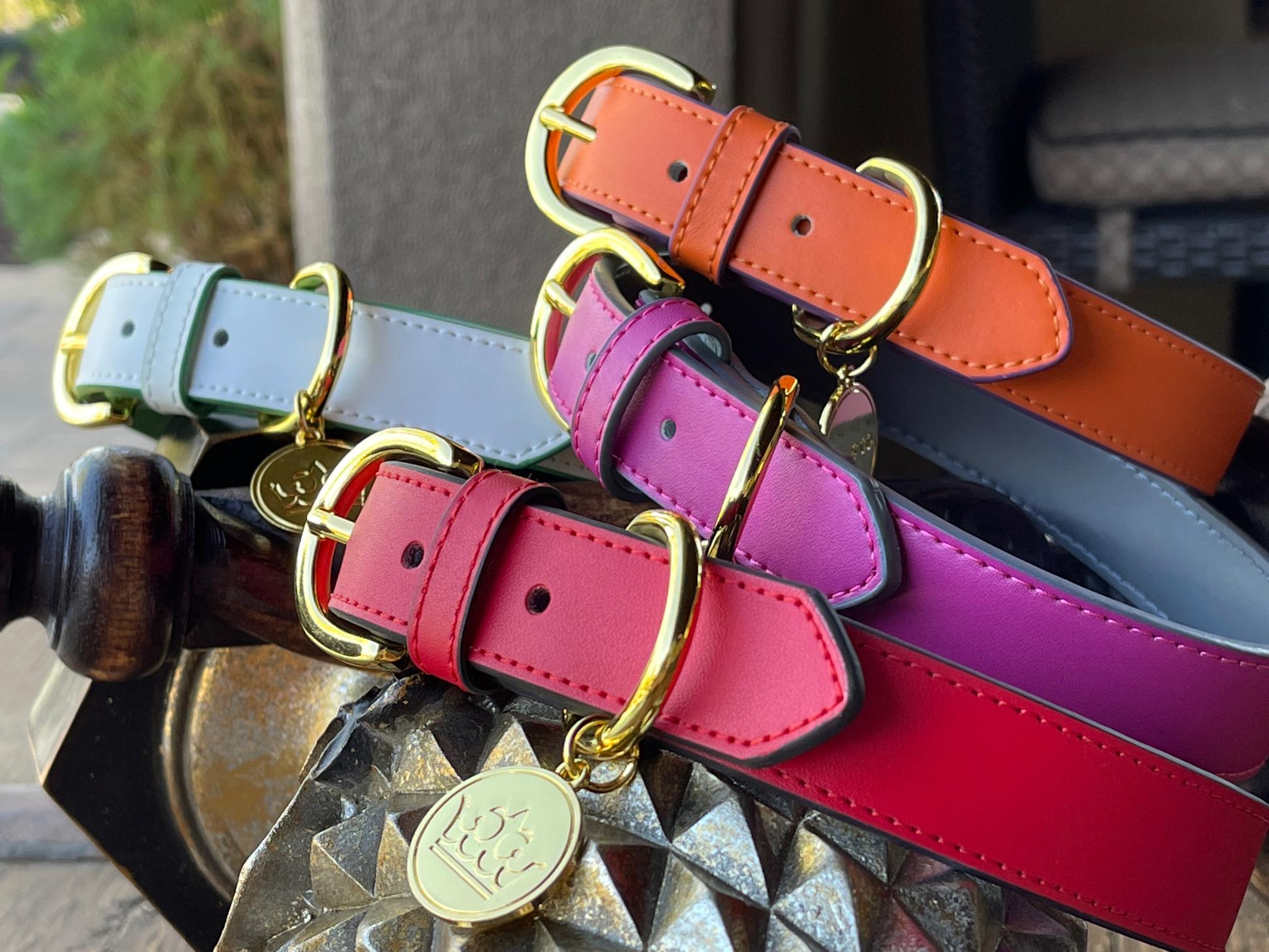 multiple collar variations of Bek & Co Leather French Bulldog collars