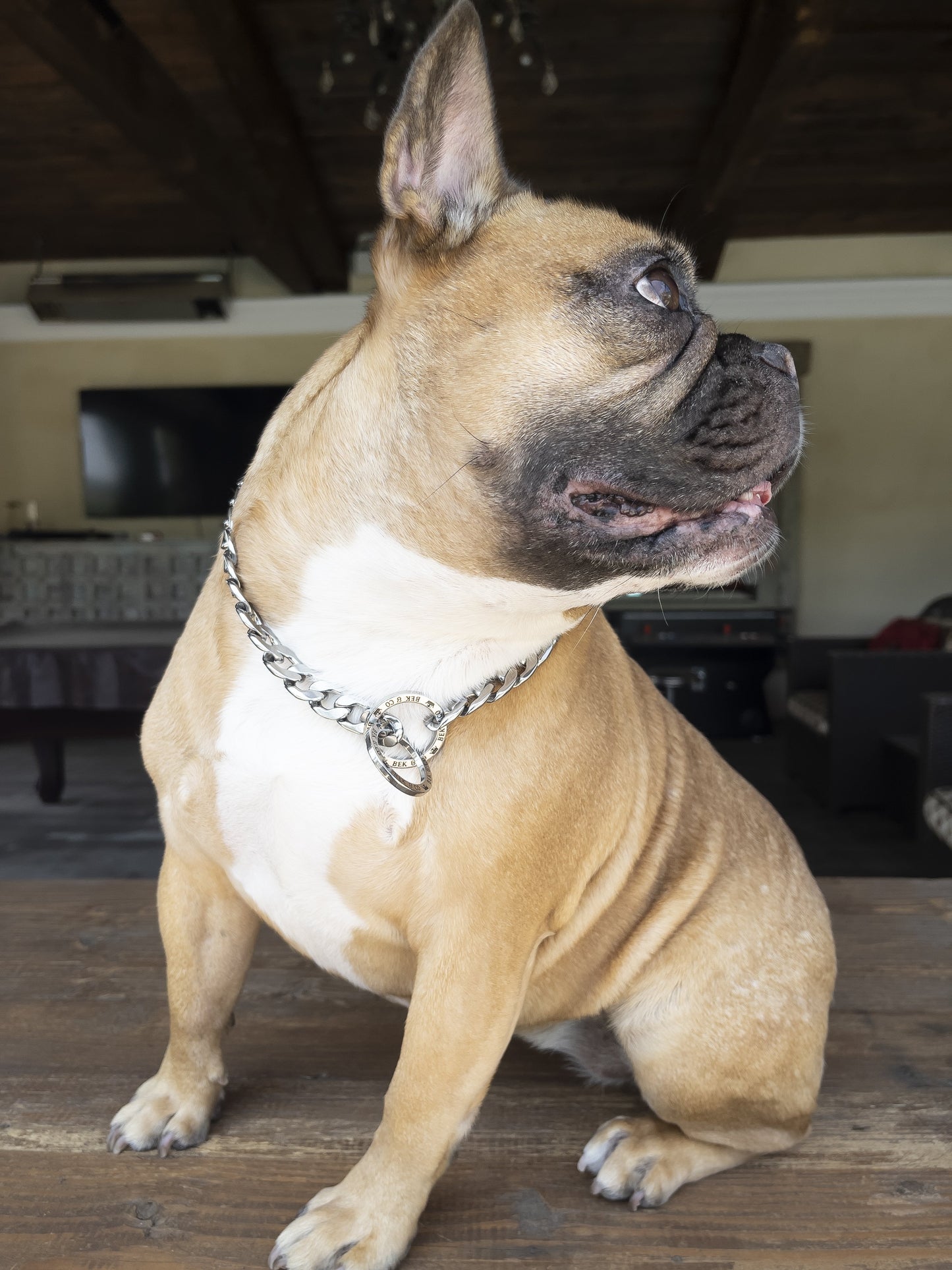 Silver Choke Dog Chain