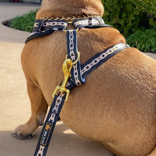 Royal Adjustable Dog Harness