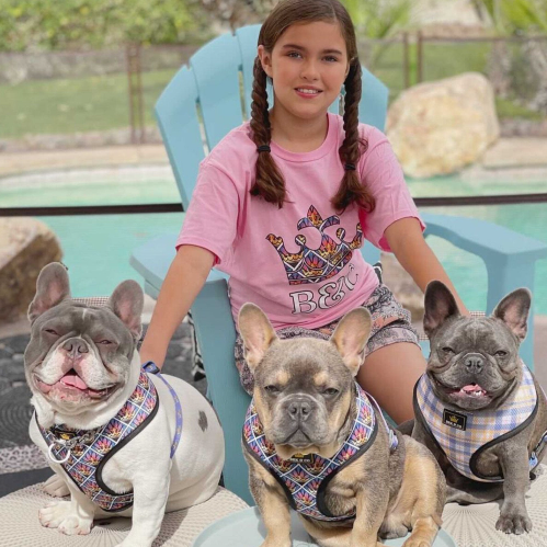cute young girl with her 3 French Bulldogs all wearing the Sunset Reversible Dog Harness