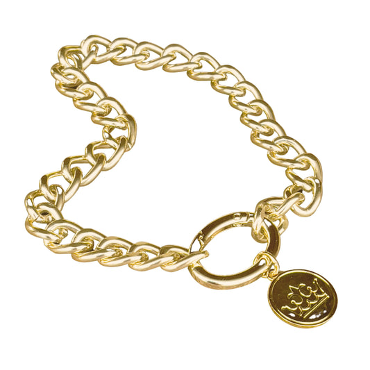 Gold Fashion Dog Chain