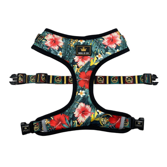 French bulldog harness with Aloha pattern by Bek & Co top view