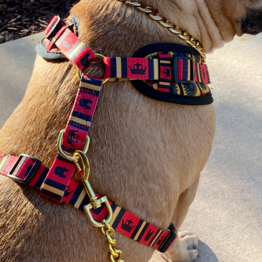 Yellow Flair Adjustable Dog Harness