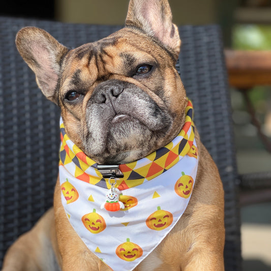 Halloween Bandana set