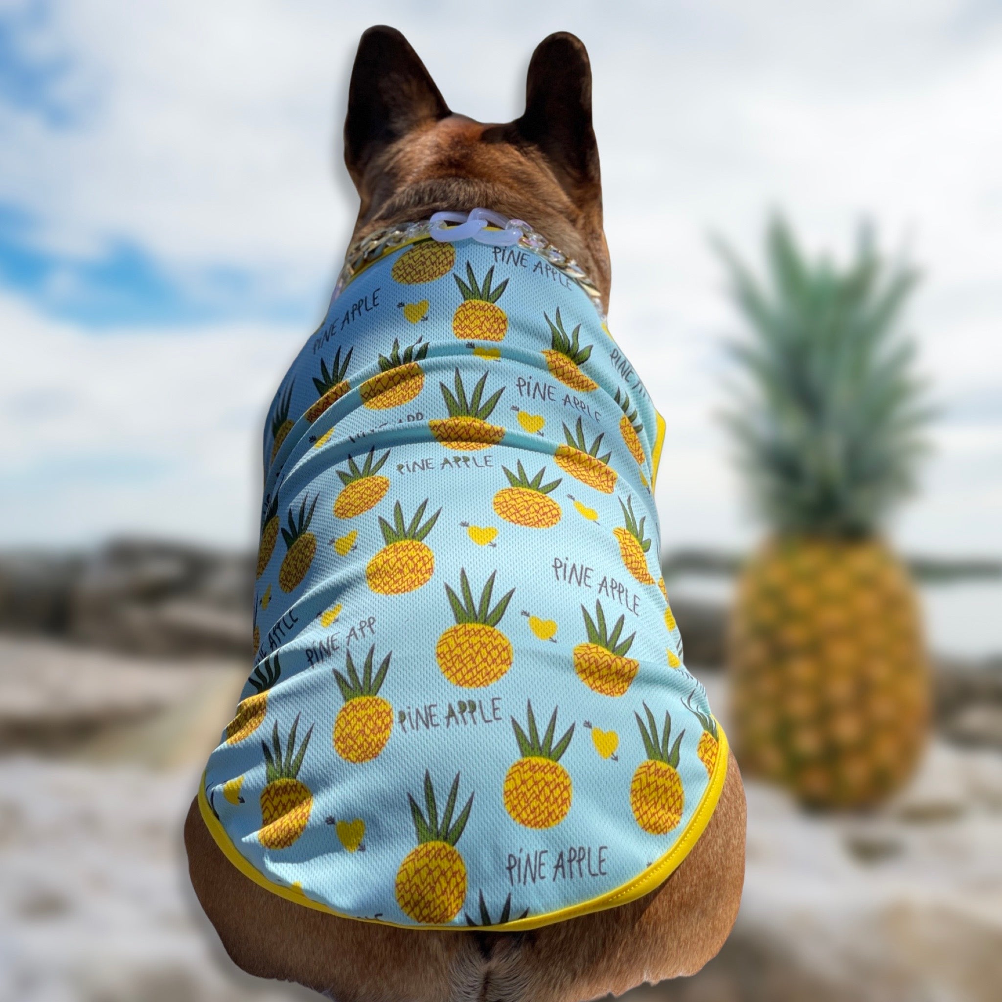 Beks Pinapple Pineapple Tank – Bek & Co
