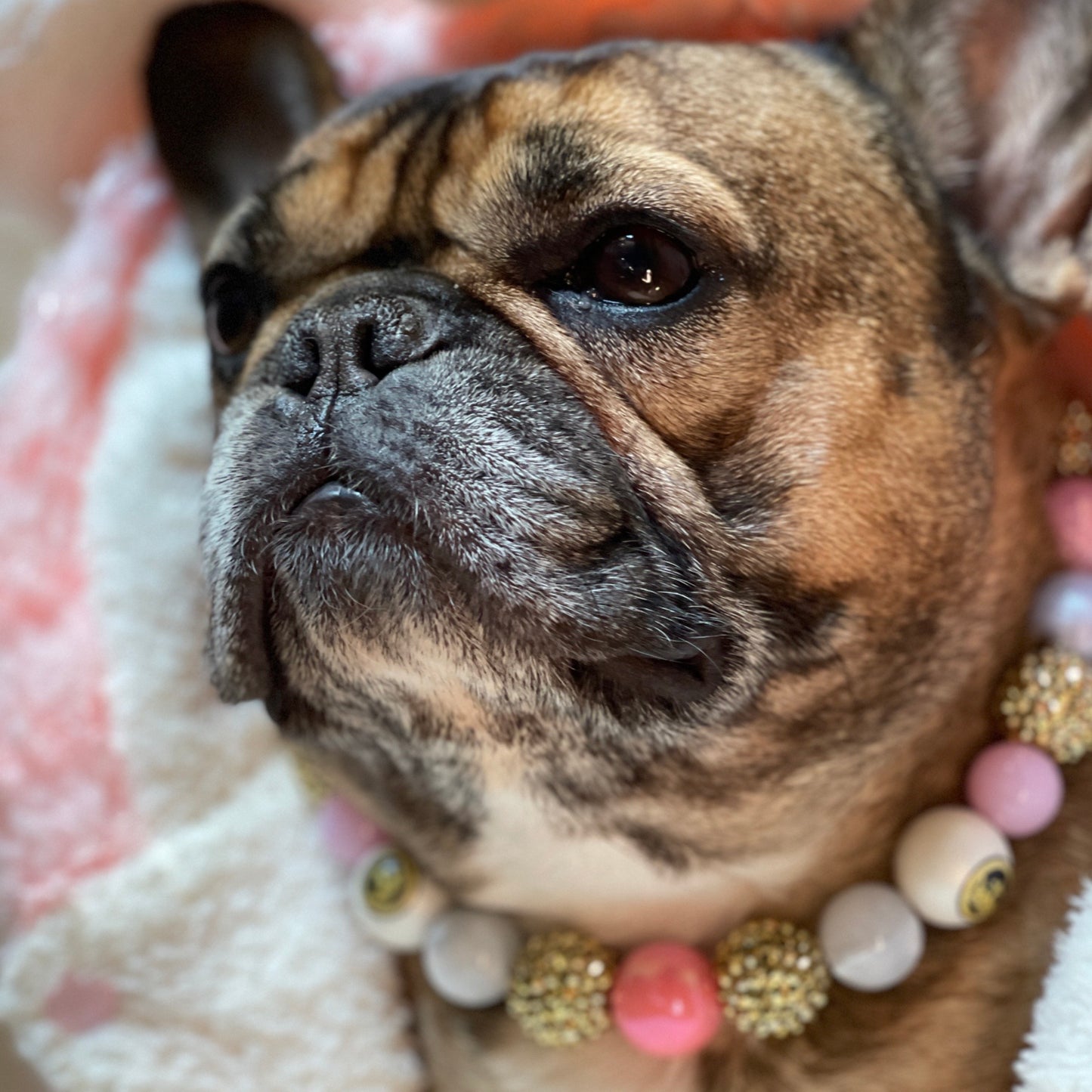 Oh Baby Pink Baubles