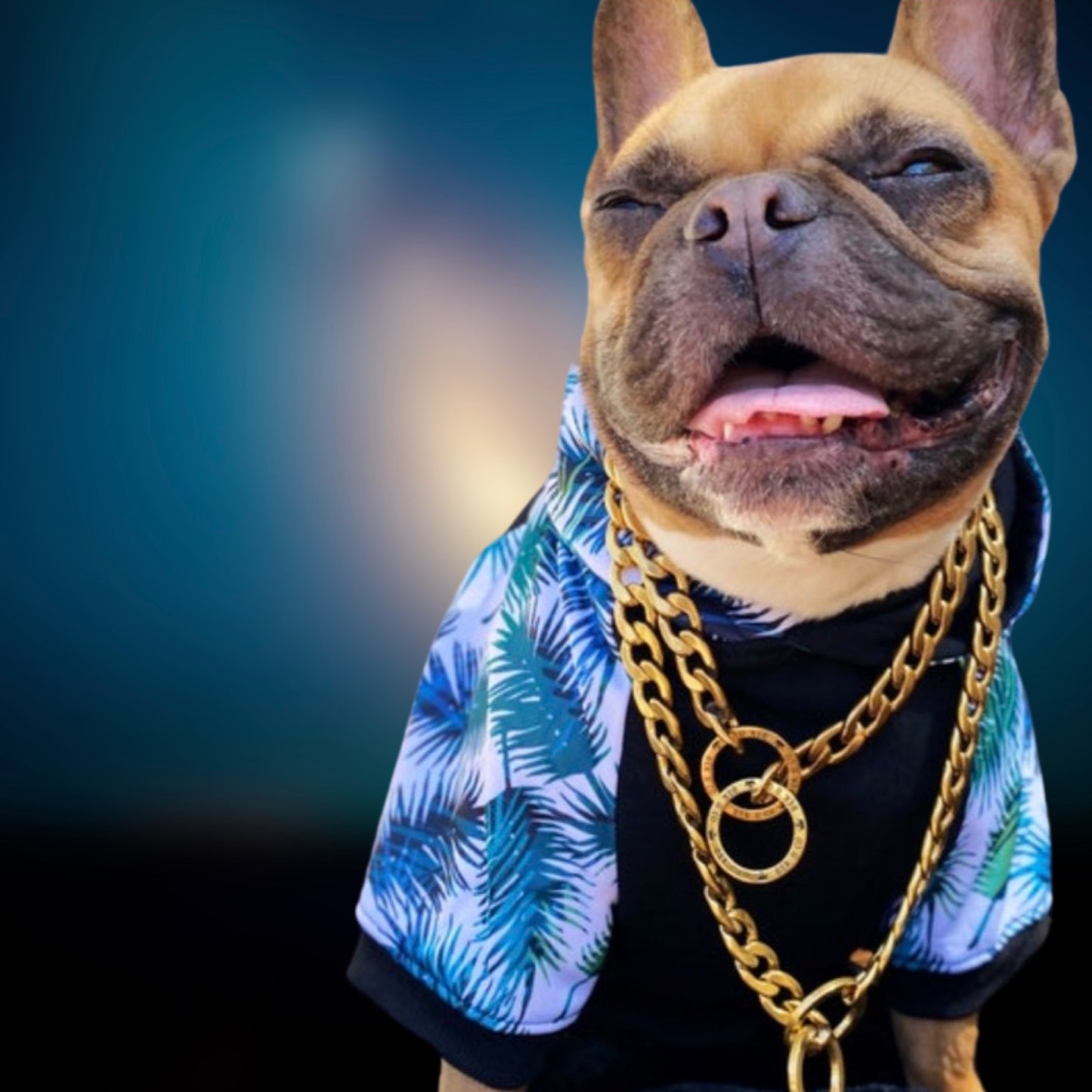 Tropical Frenchie Hoodie