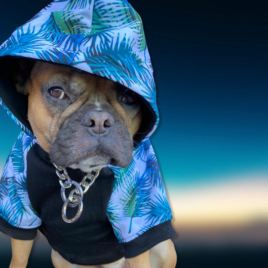Tropical Frenchie Hoodie