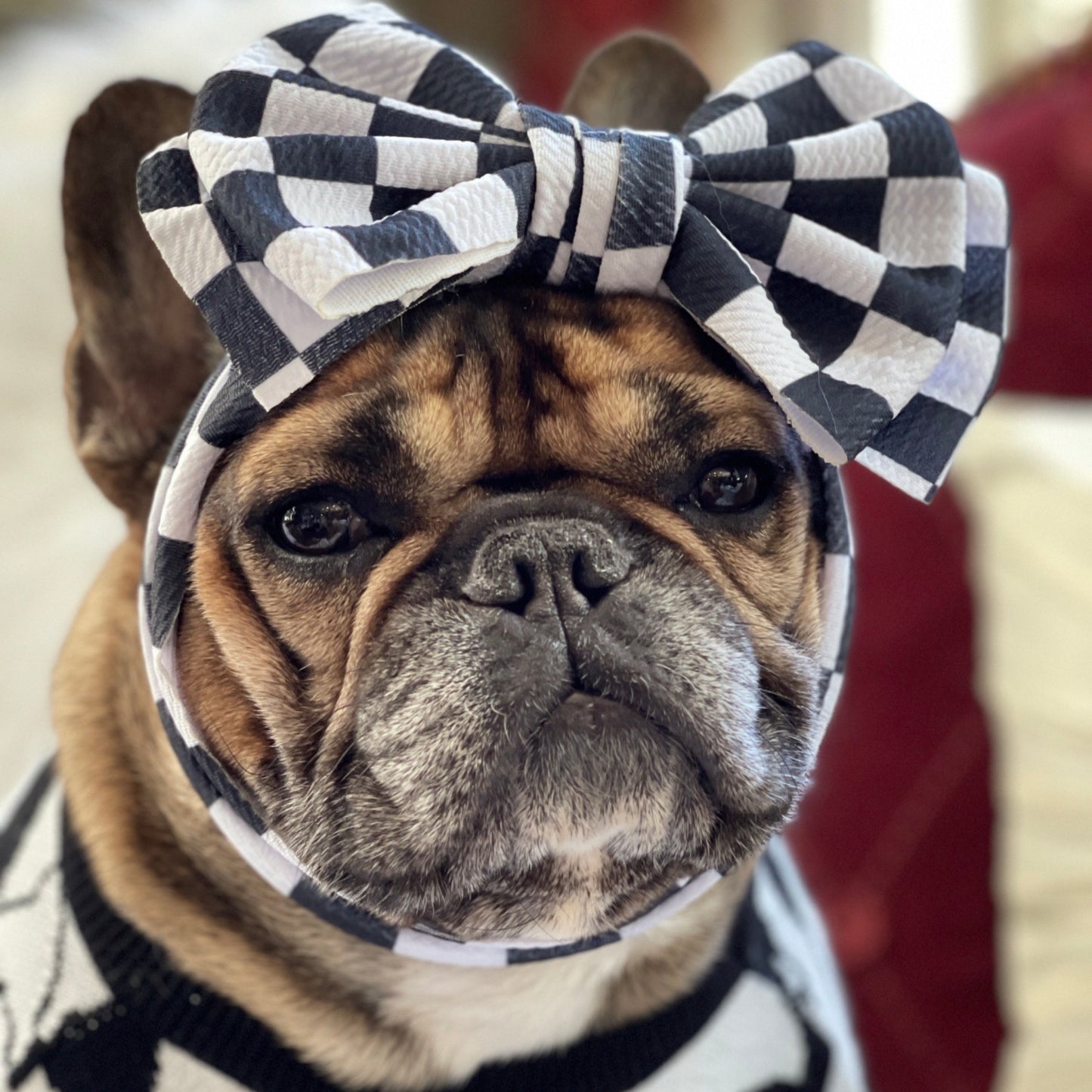 Frenchie Bow Checkered